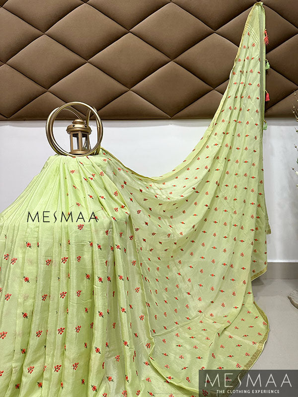 Embroidered chinnon saree