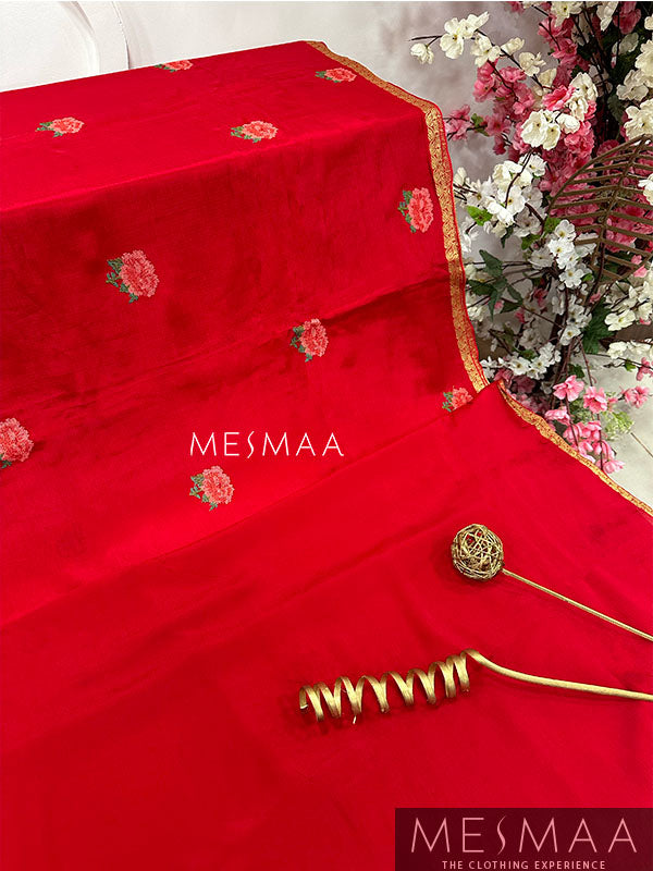 Embroidered model saree