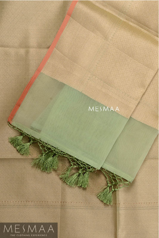 Banarasi Organza Saree