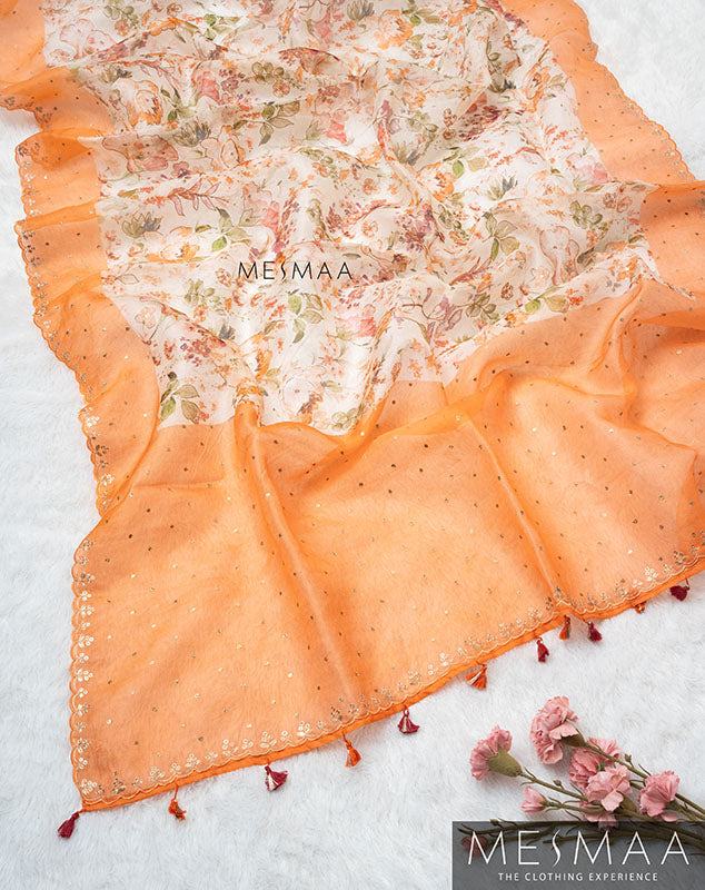 Tissue organza saree