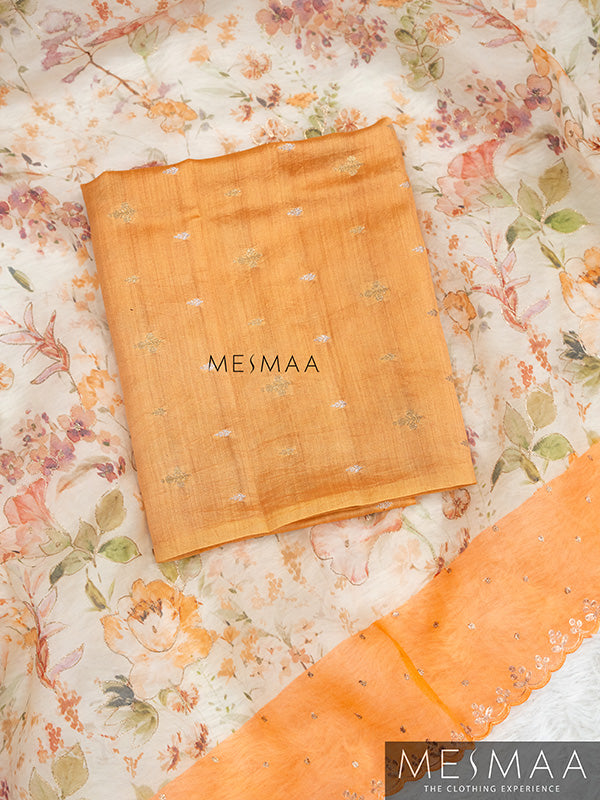 Tissue organza saree