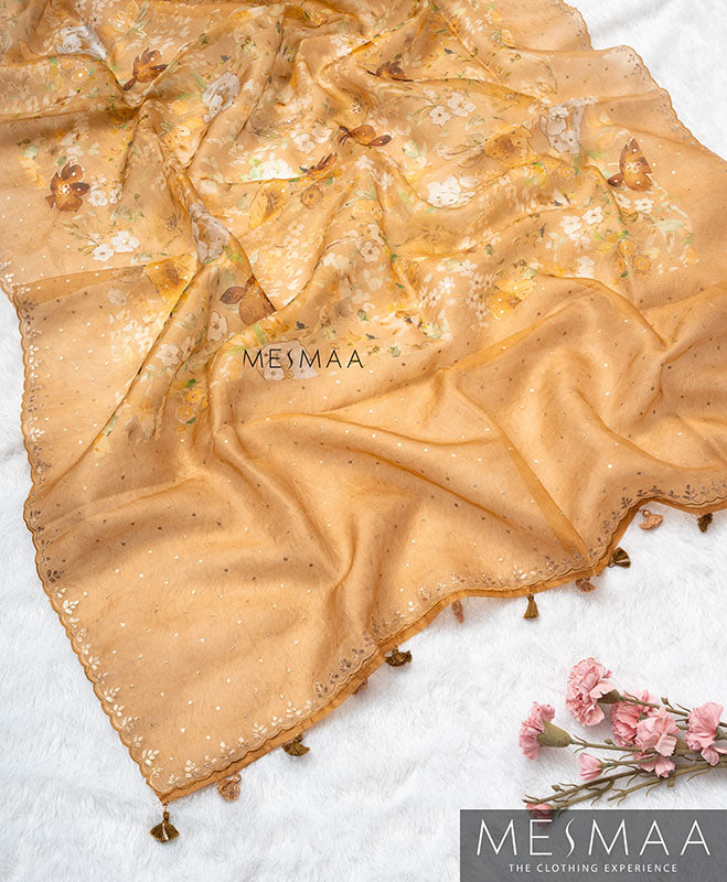 Tissue organza saree