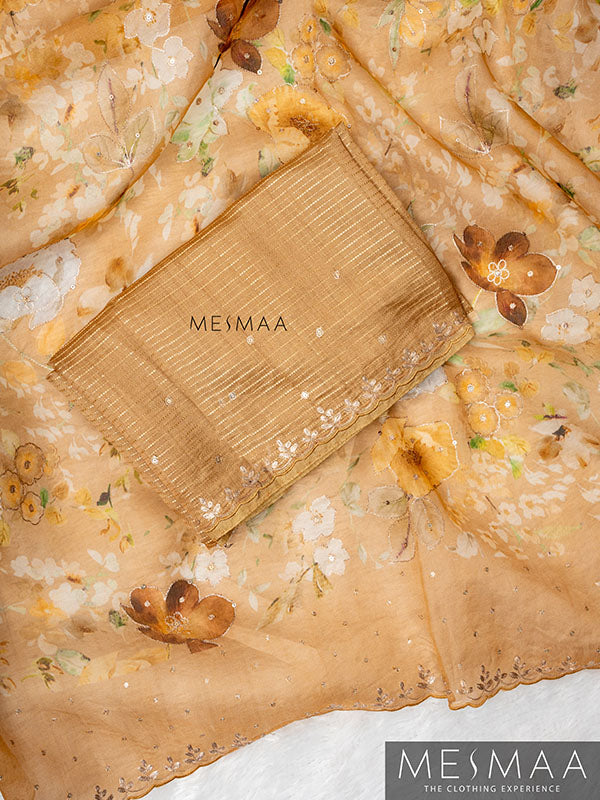 Tissue organza saree